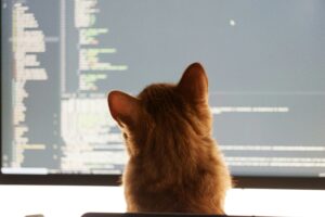 Read more about the article String: All we need to know