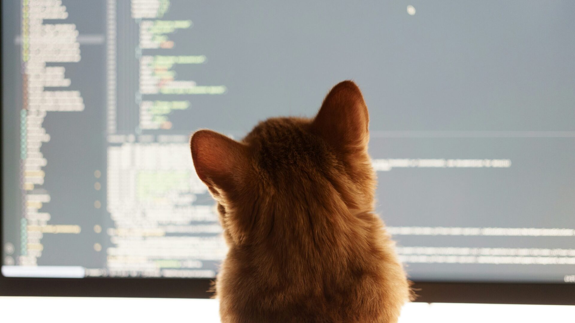 String: All we need to know